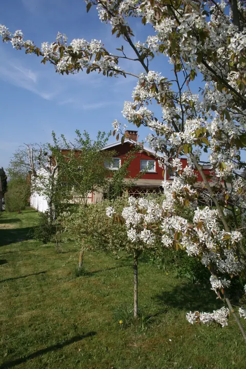 La Clef de Bois