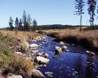 Centre Nature de Botrange - Hautes Fagnes